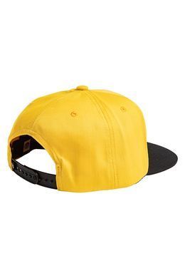 Кепка 686 Graphic Snapback Hat/Tree Life
